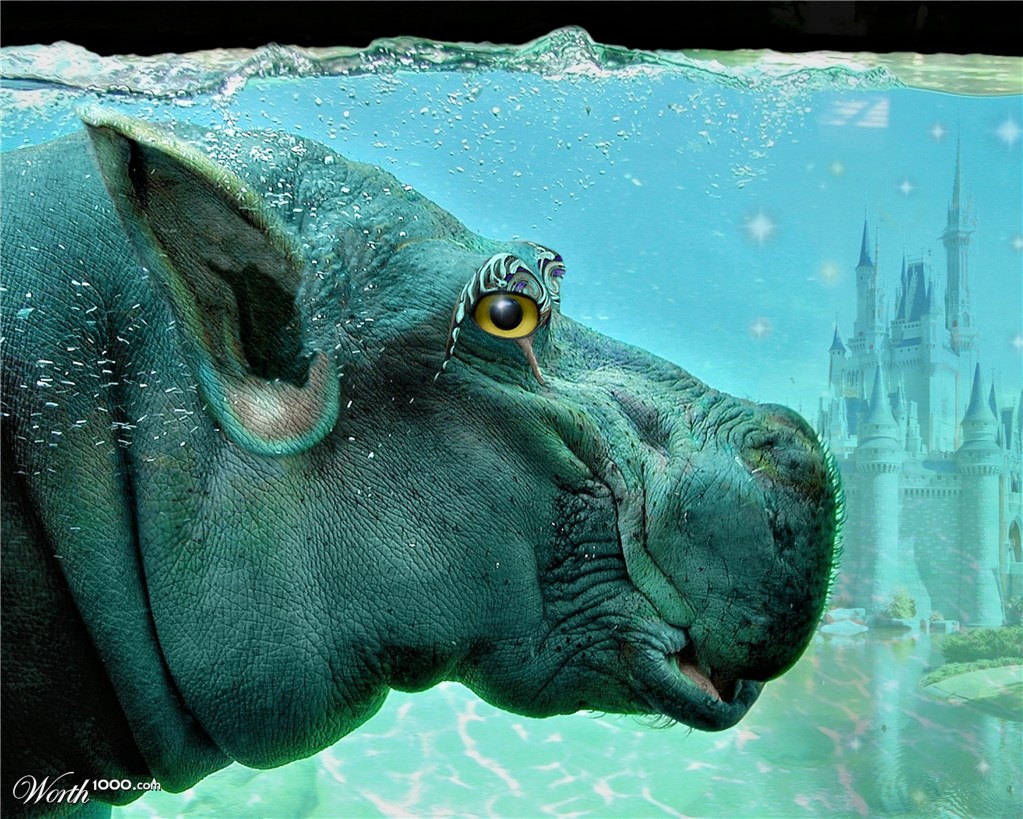 Submerged Kingdom