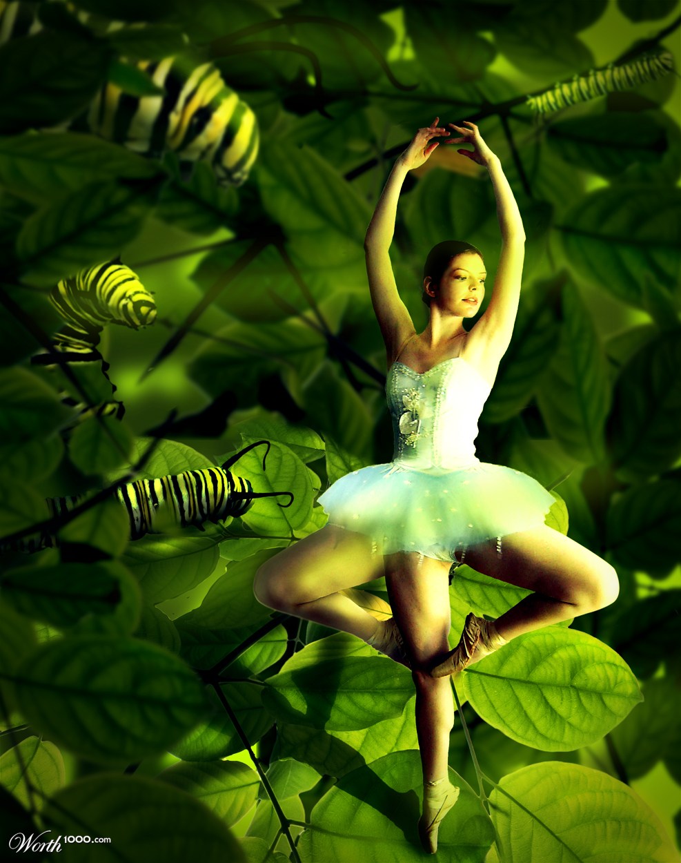 dancing for caterpillars