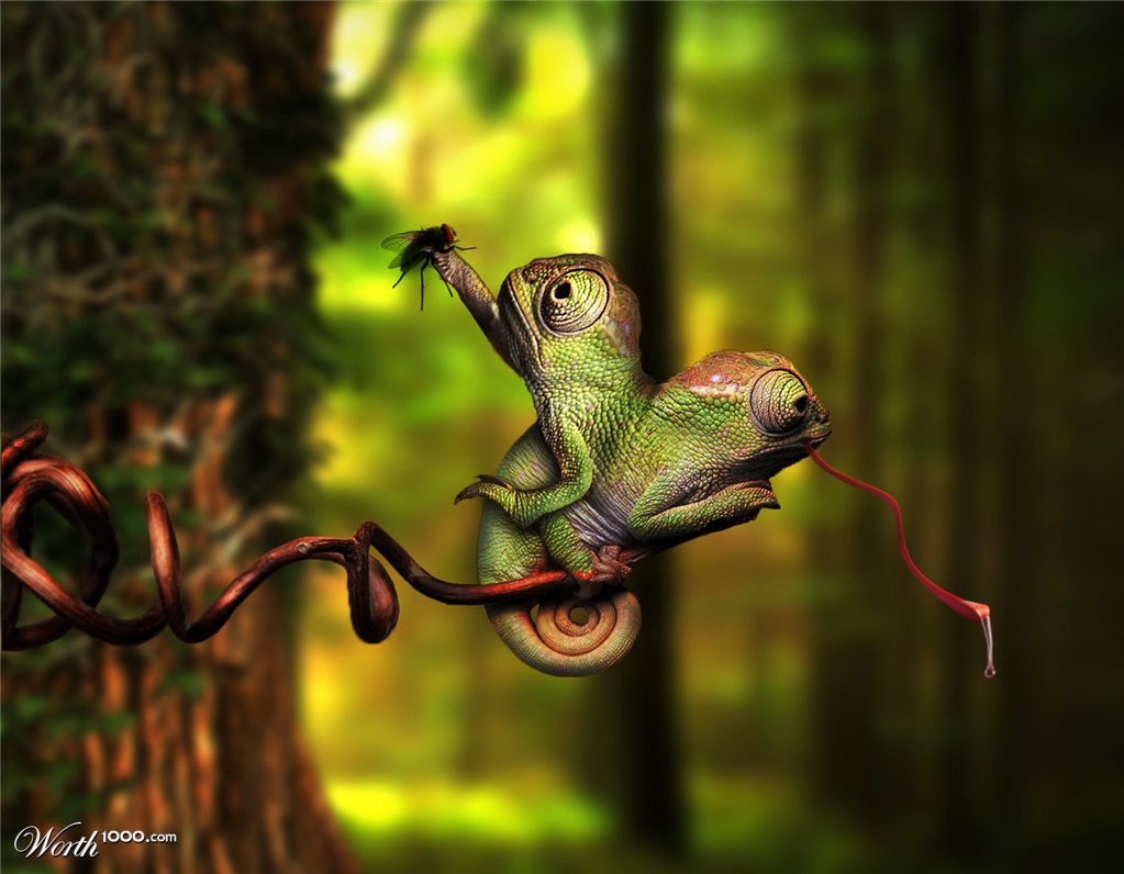 hunting for two