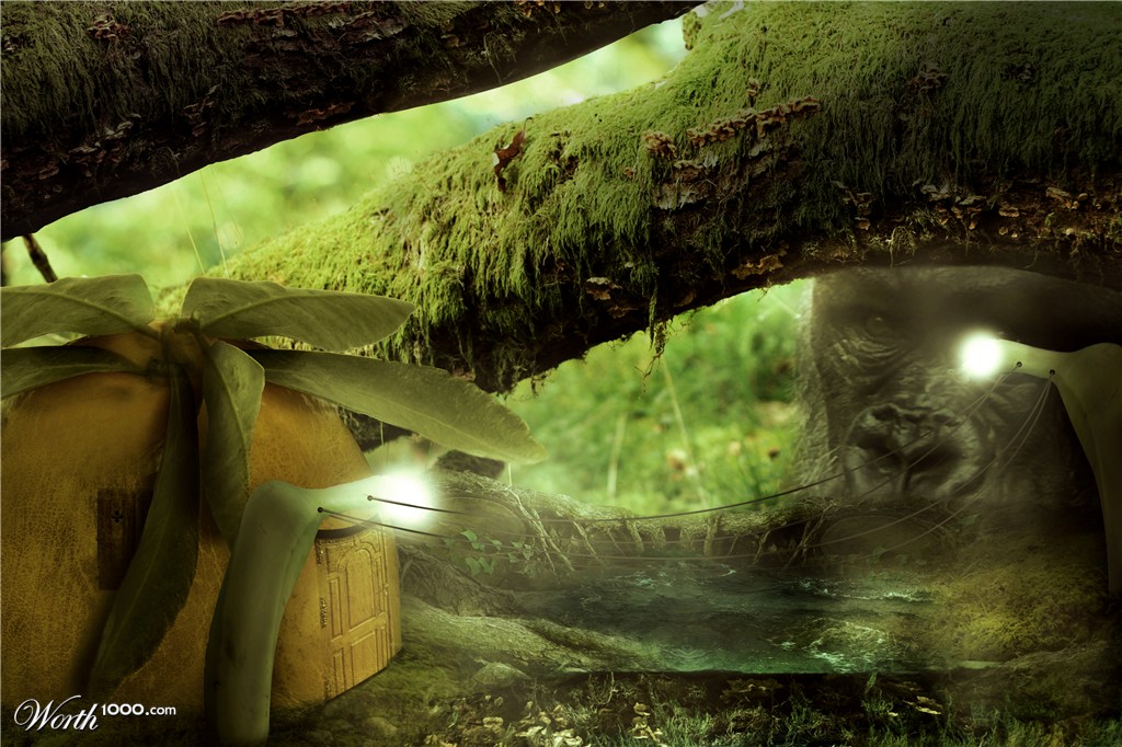 Hidden world