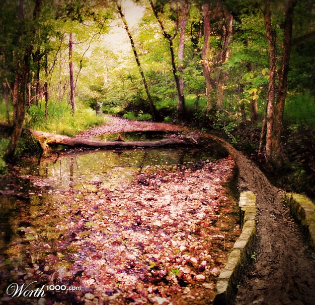 Bridge Over Fall