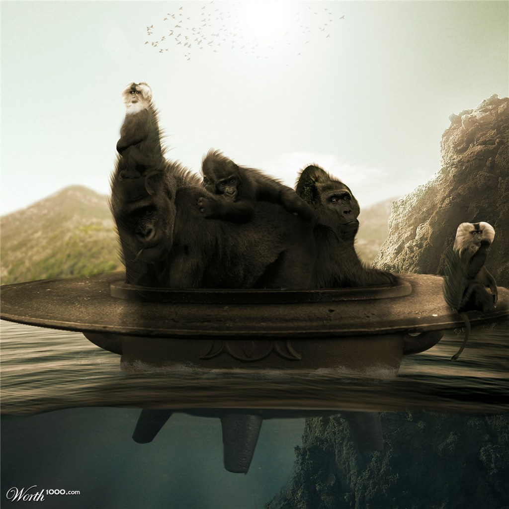 Trail of primates