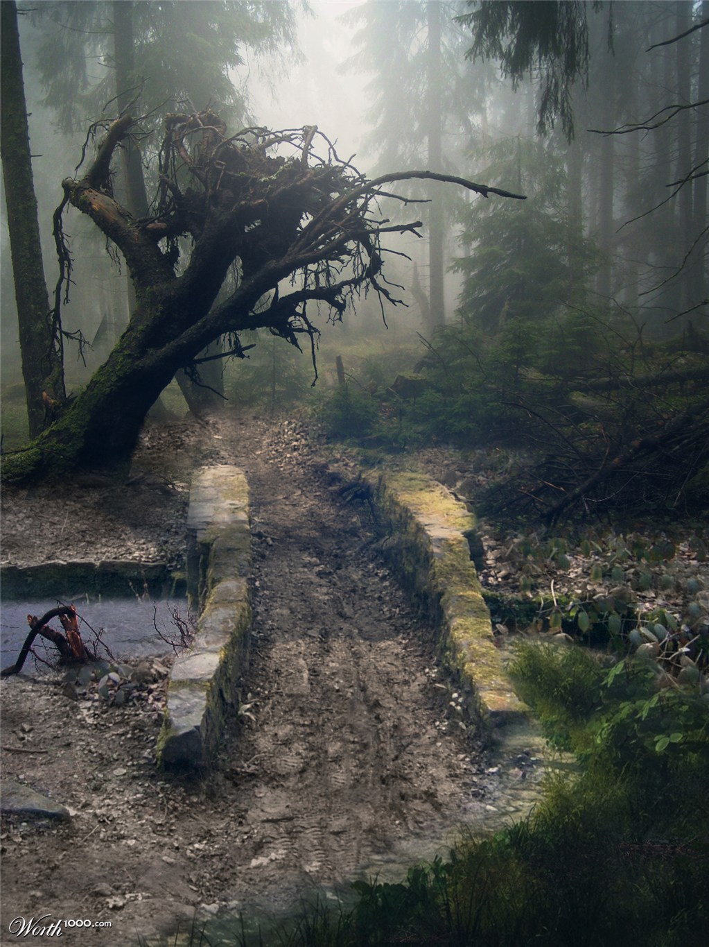Forrest cross over bridge