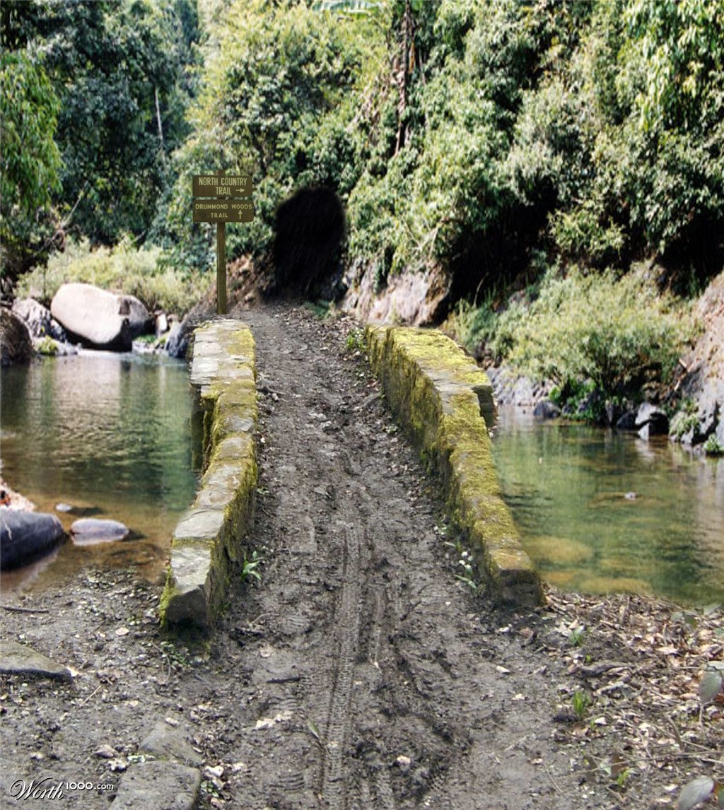 trail bridge
