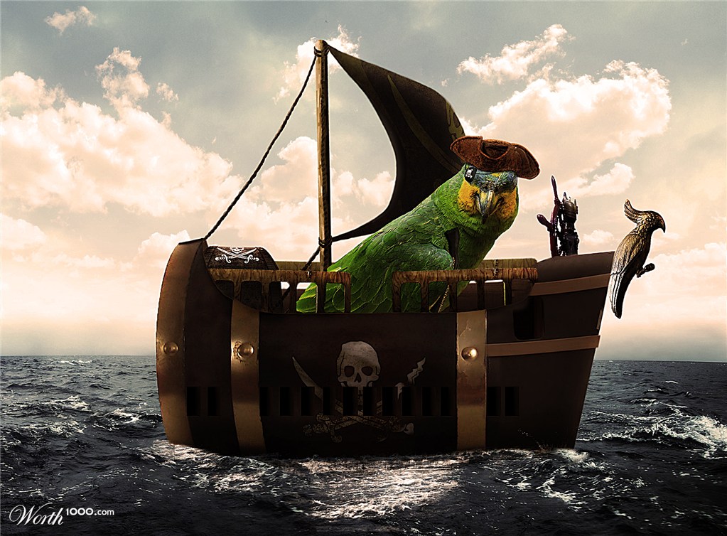 Sailing the seven seas