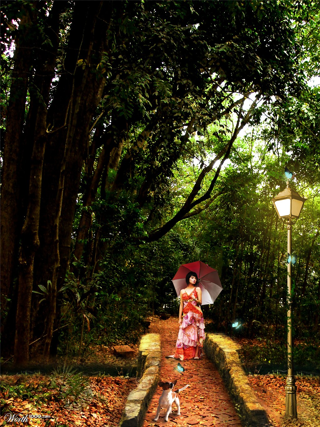 A walk in the forest