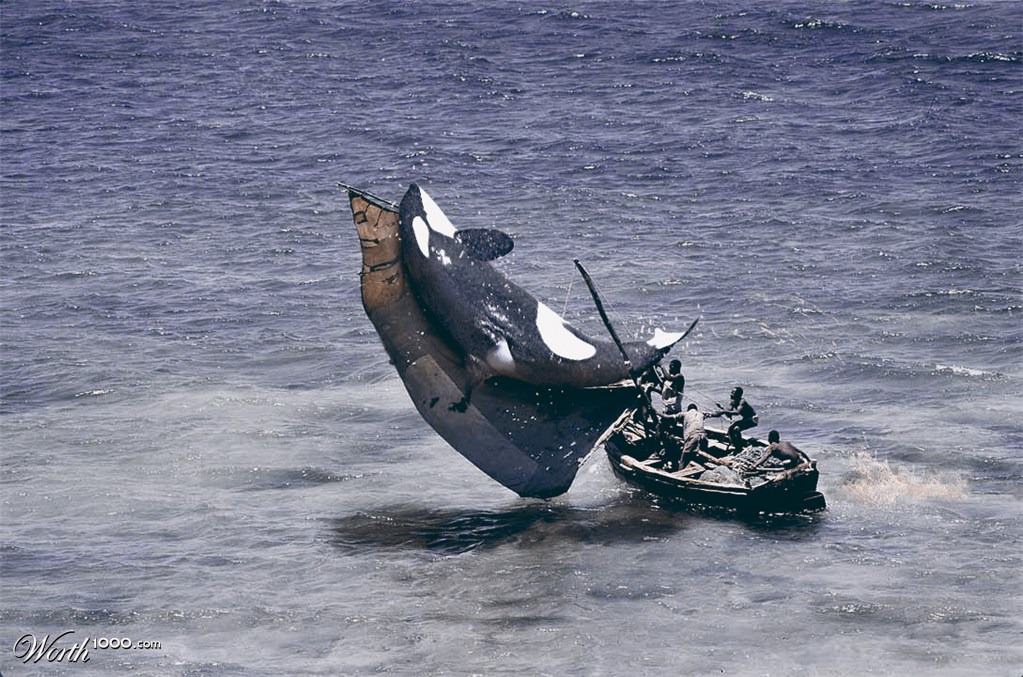 Killer Whale
