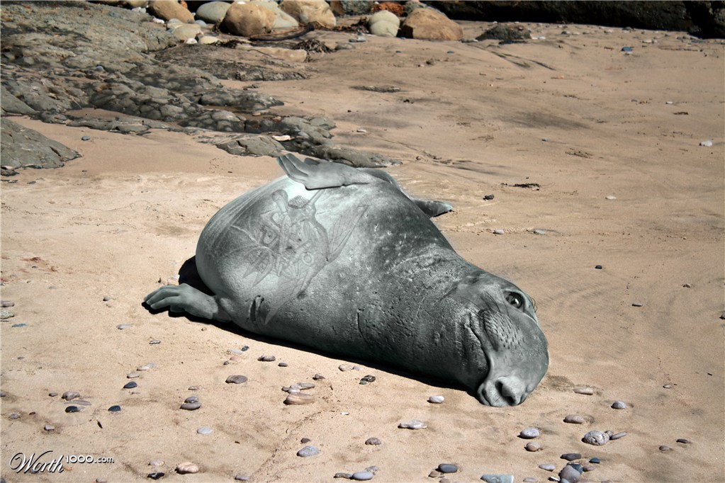 Creature Washes Ashore In England