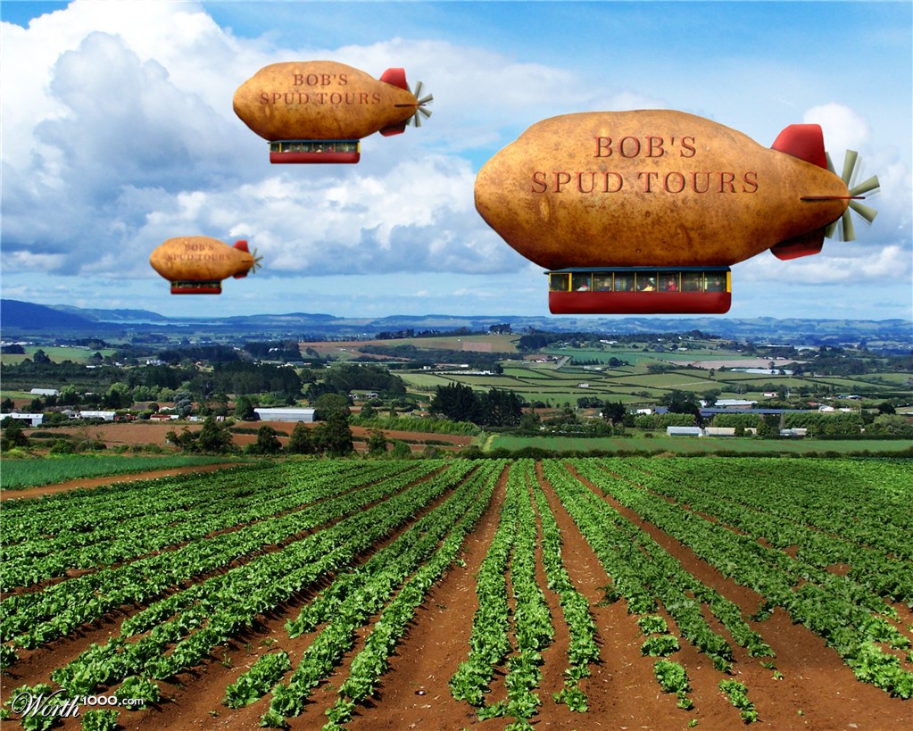 BOB'S SPUD TOURS