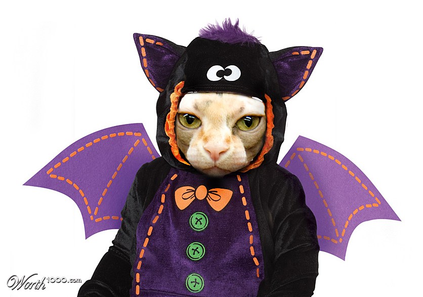 Batcat/Catbat
