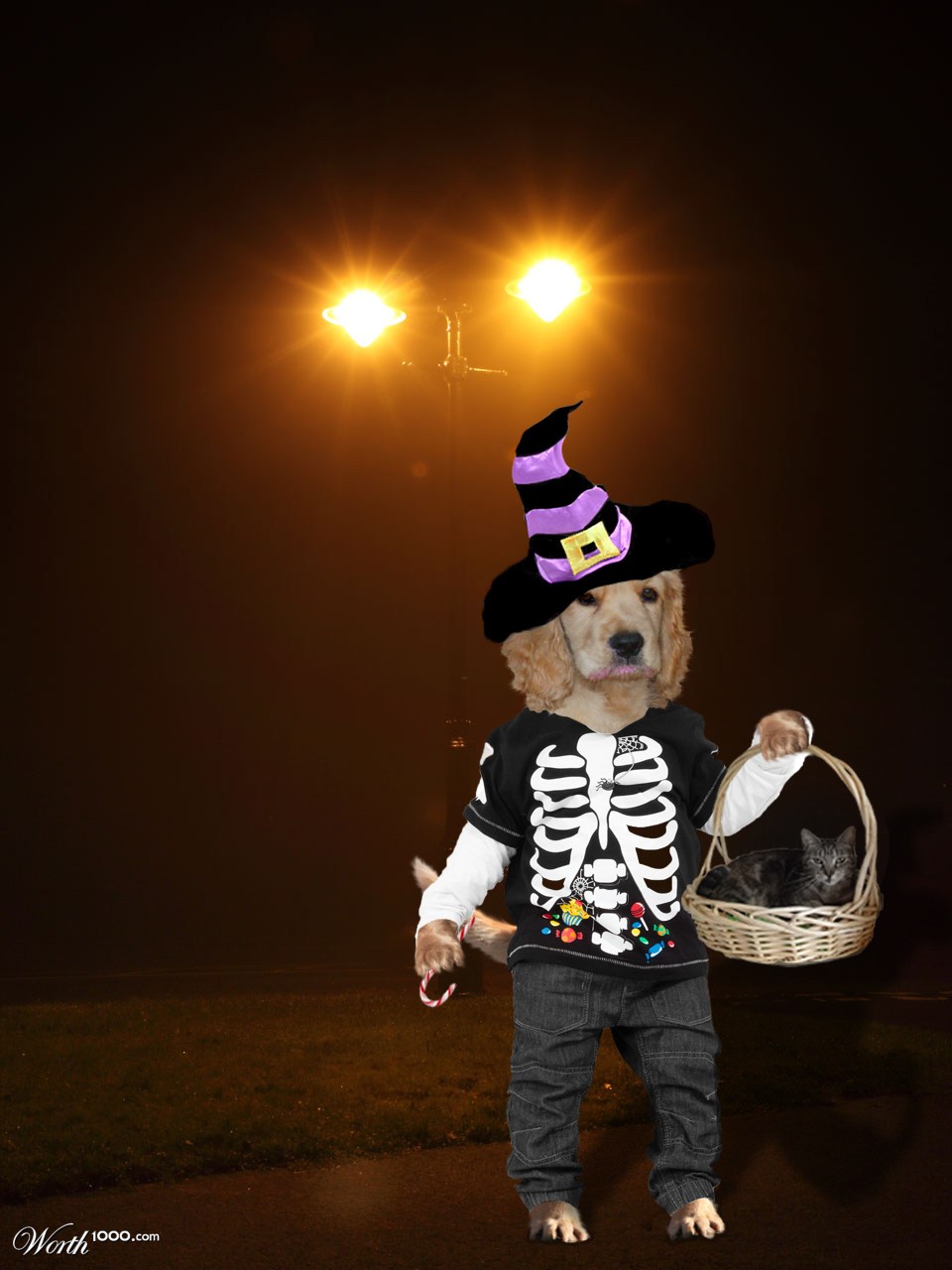 scarey stuff huh !