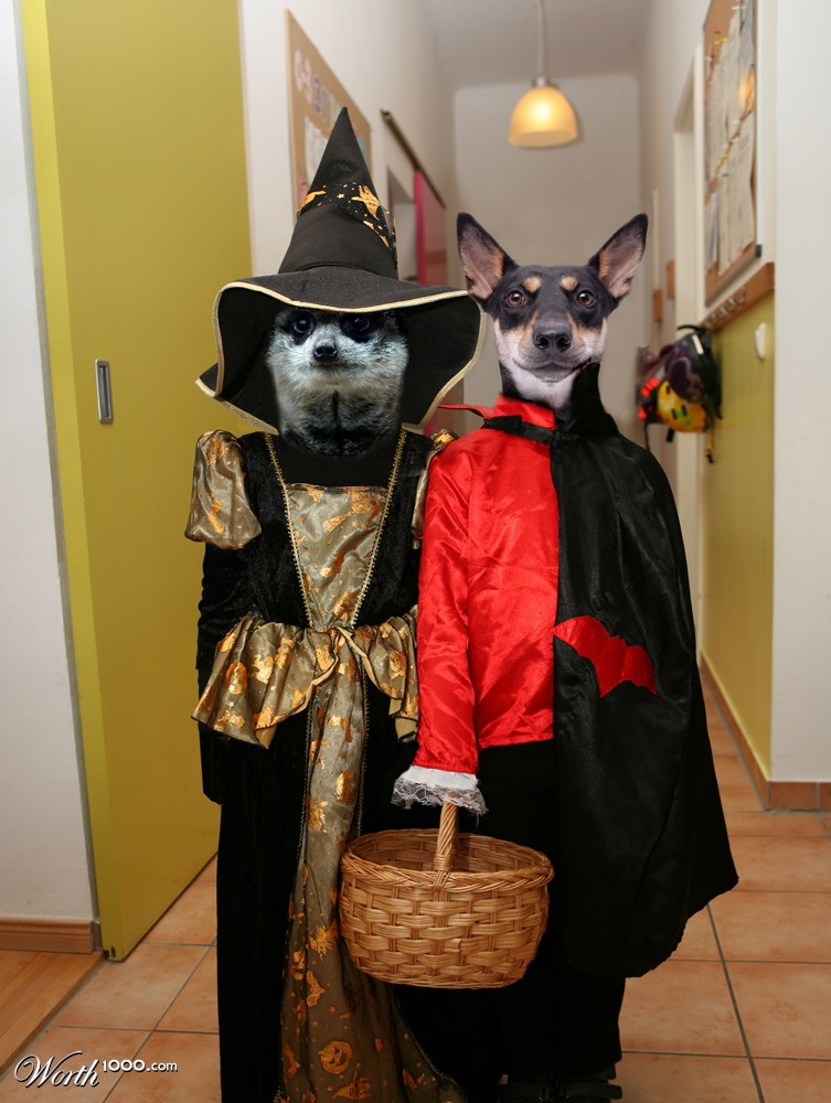 scary duo