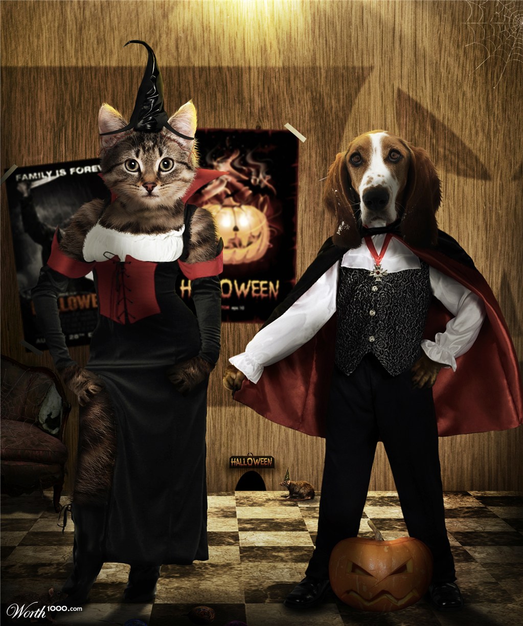 Cat and Dog