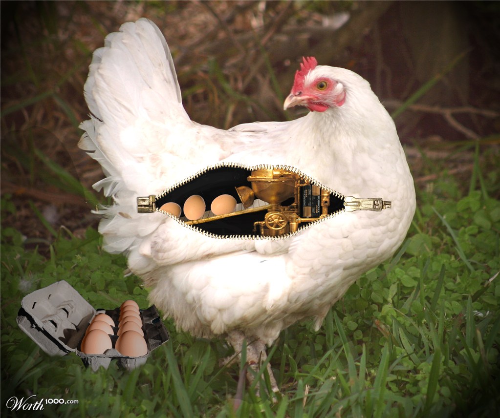 Battery hen