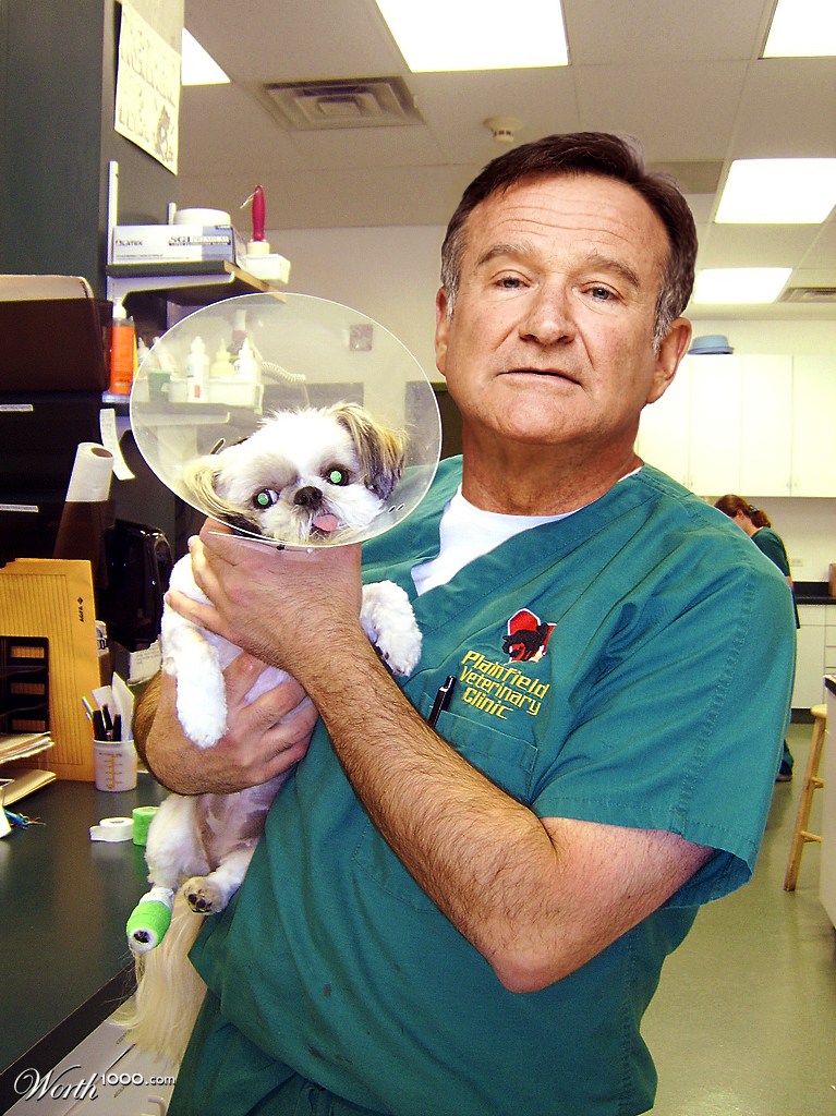 Robin Williams veterinarian