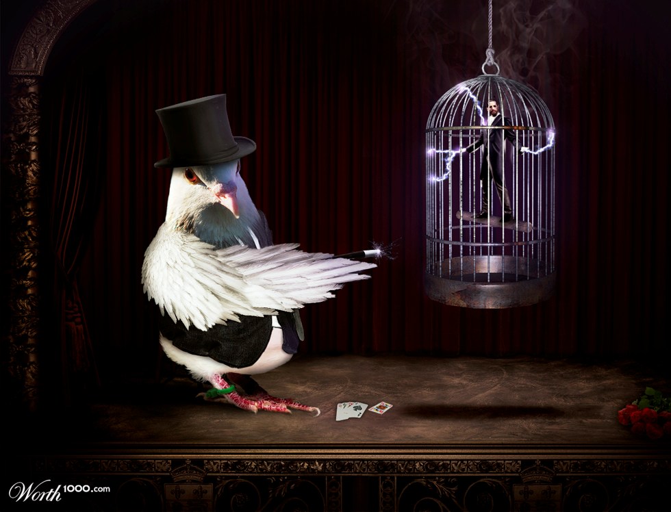 Revenge of the Birds