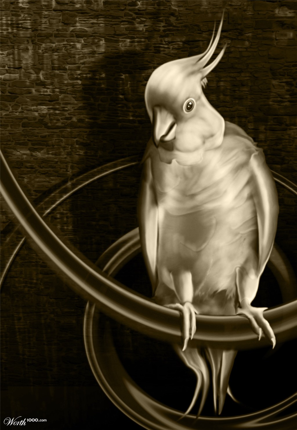 White Bird