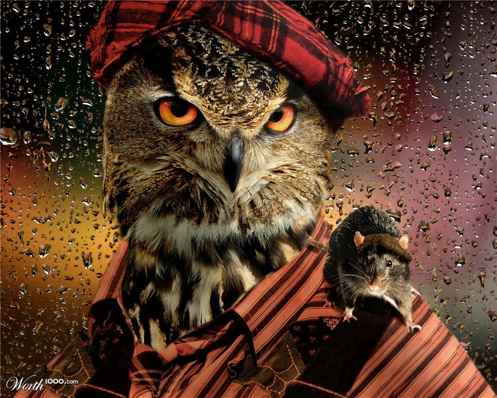 Rainy Day Friends