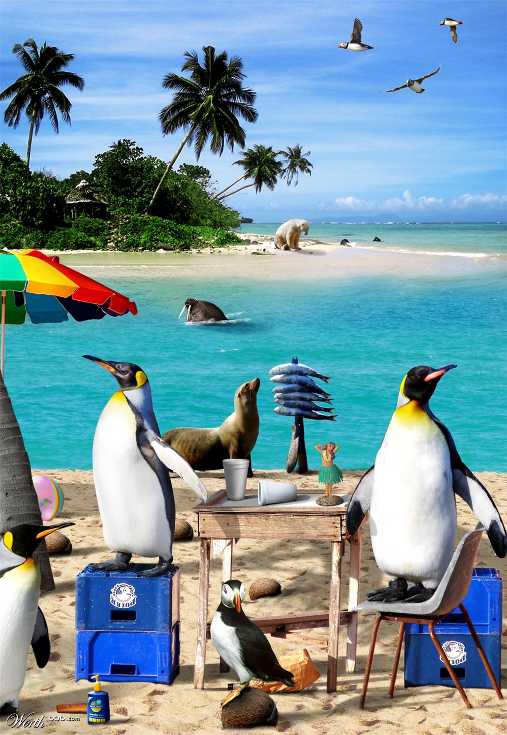 Tropical Fauna