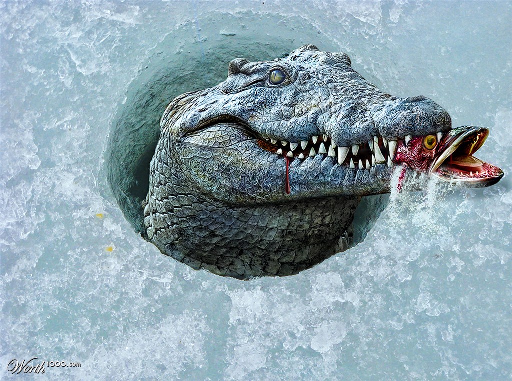 ARCTIC CROC