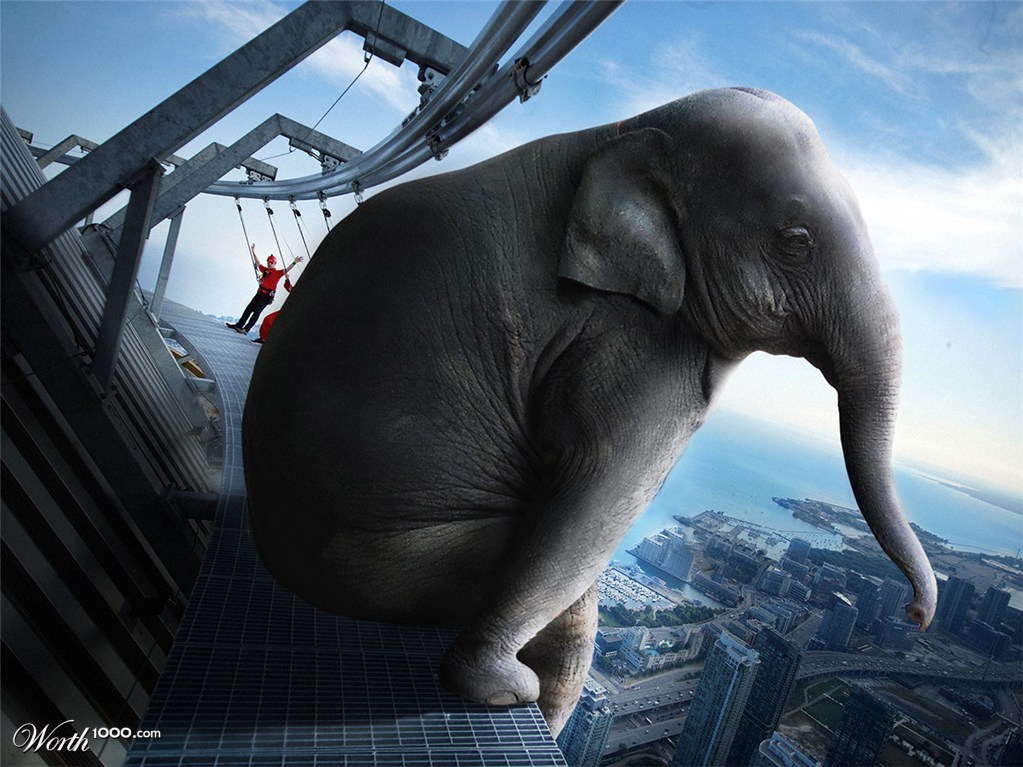 Elephant on CN Tower