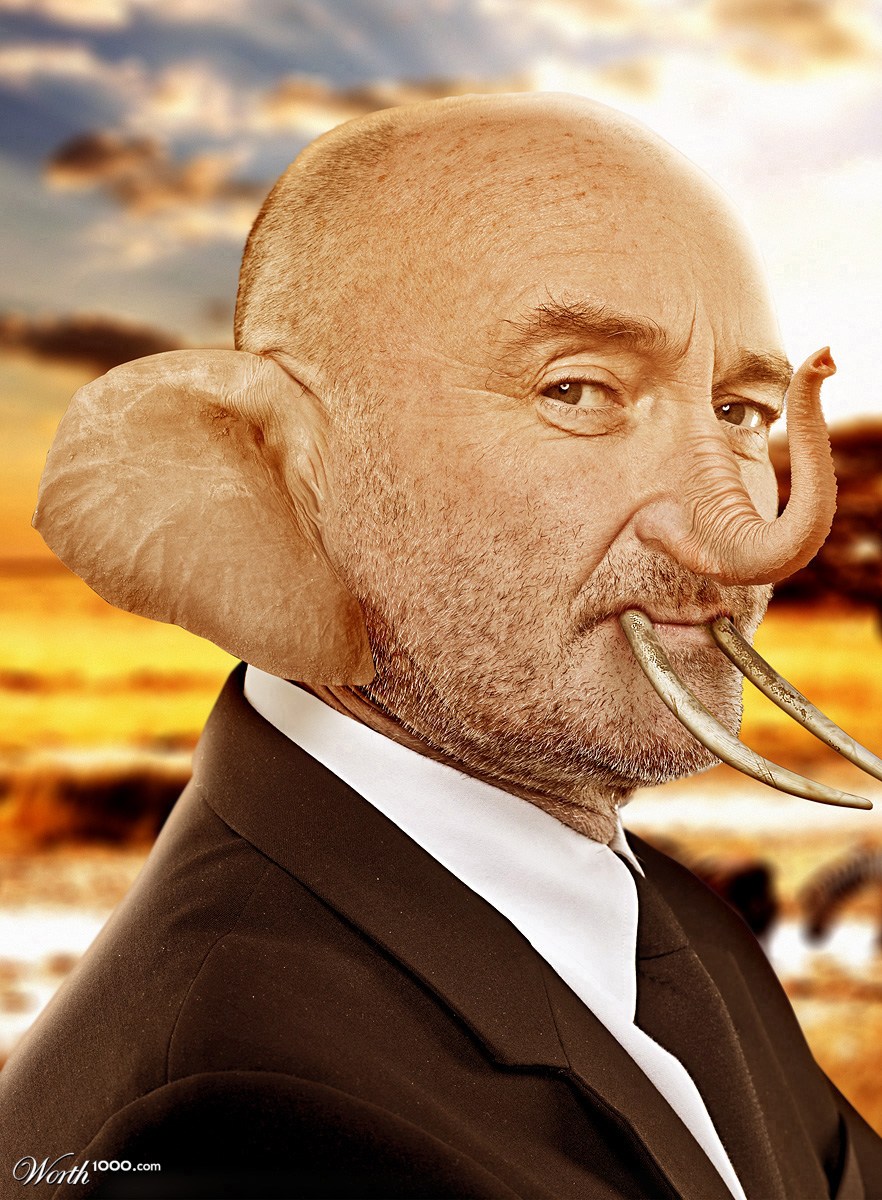 Elephil Collins
