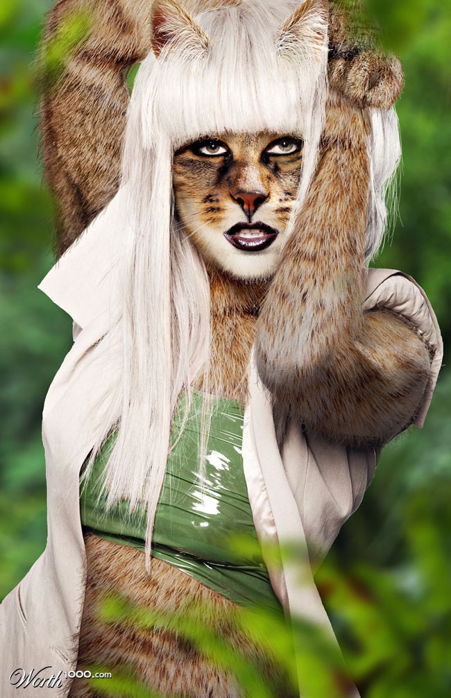 Lady Meow