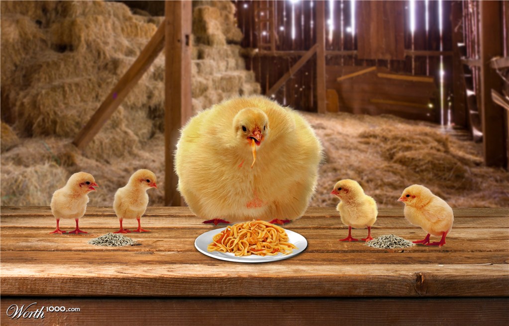 Chick's appetite