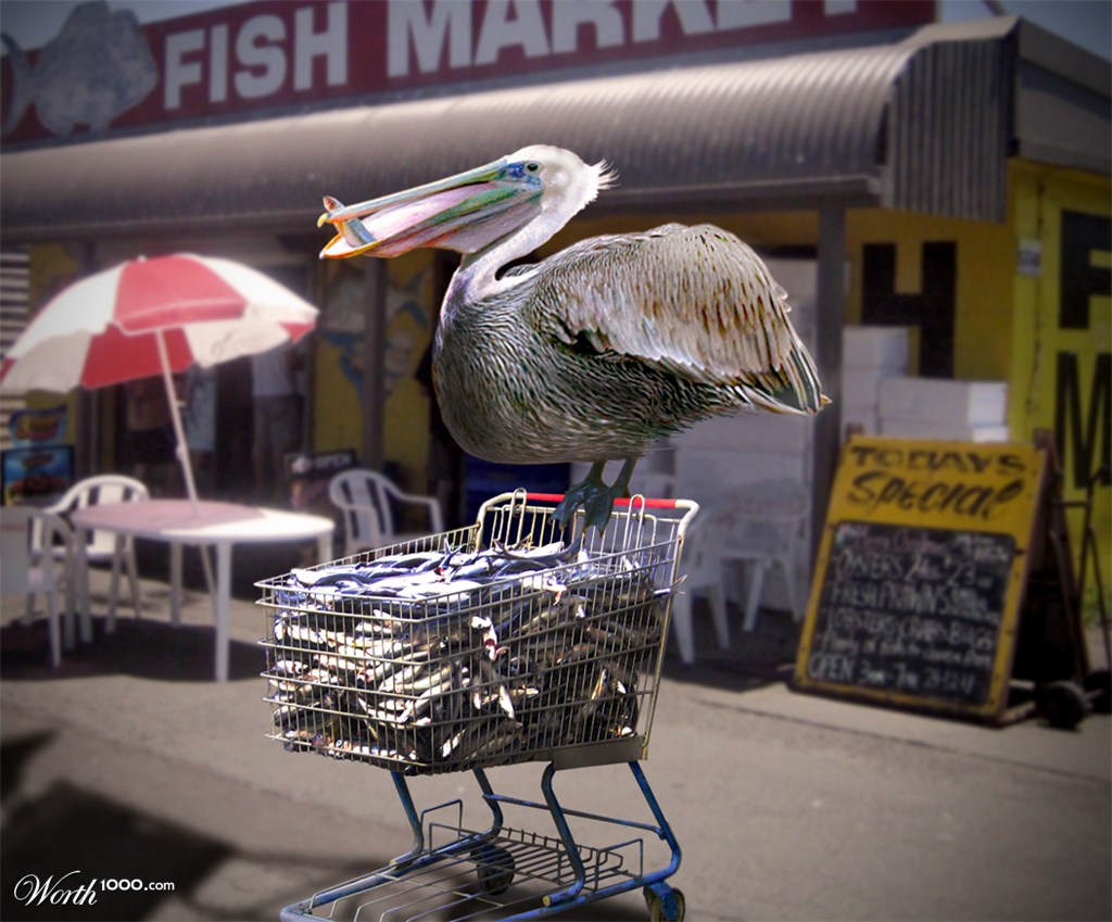 Don't Shop When You're Hungry