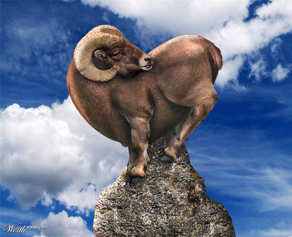 Ram