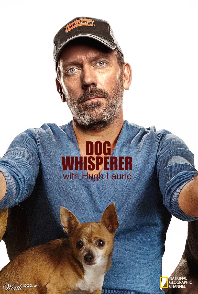 Dog Whisperer