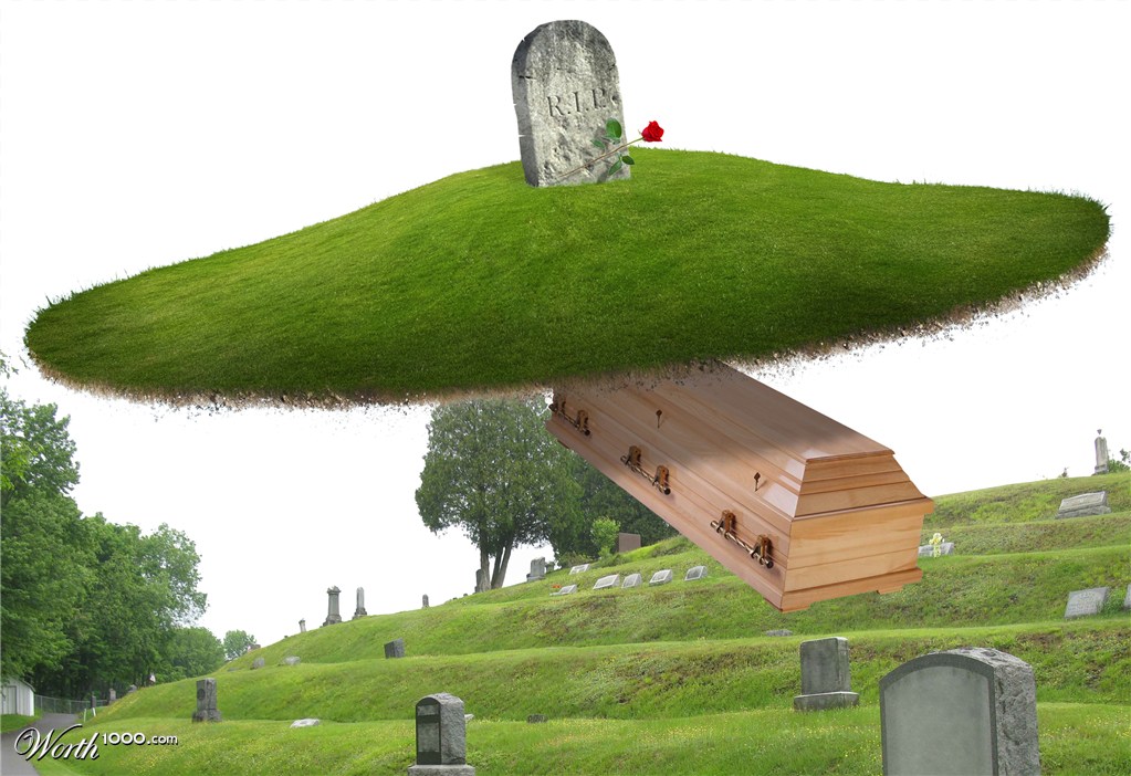 Zero Gravity Grave