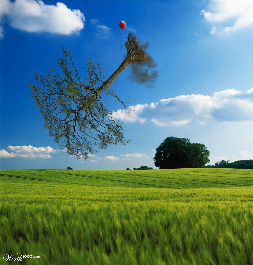 flying tree