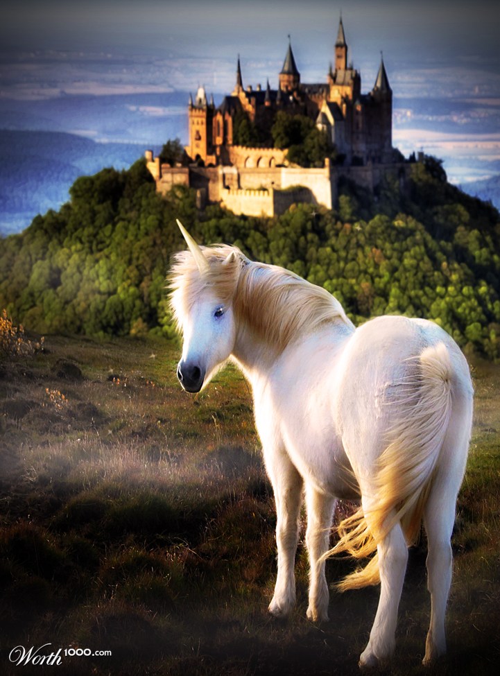 The Hills Above Unicorn Castle