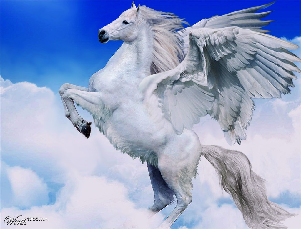 Pegasi