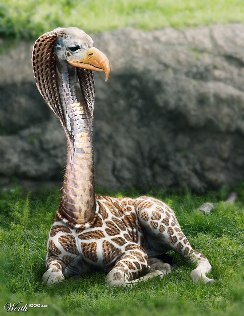 Long-Necked