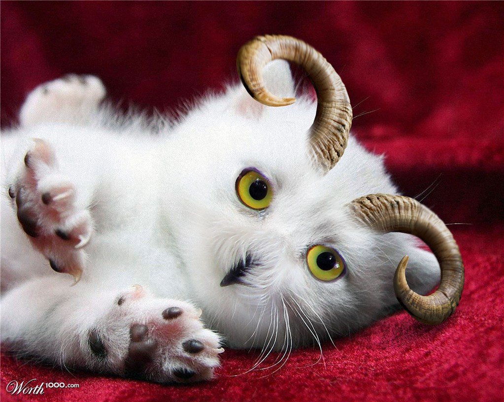 Cute Chimera