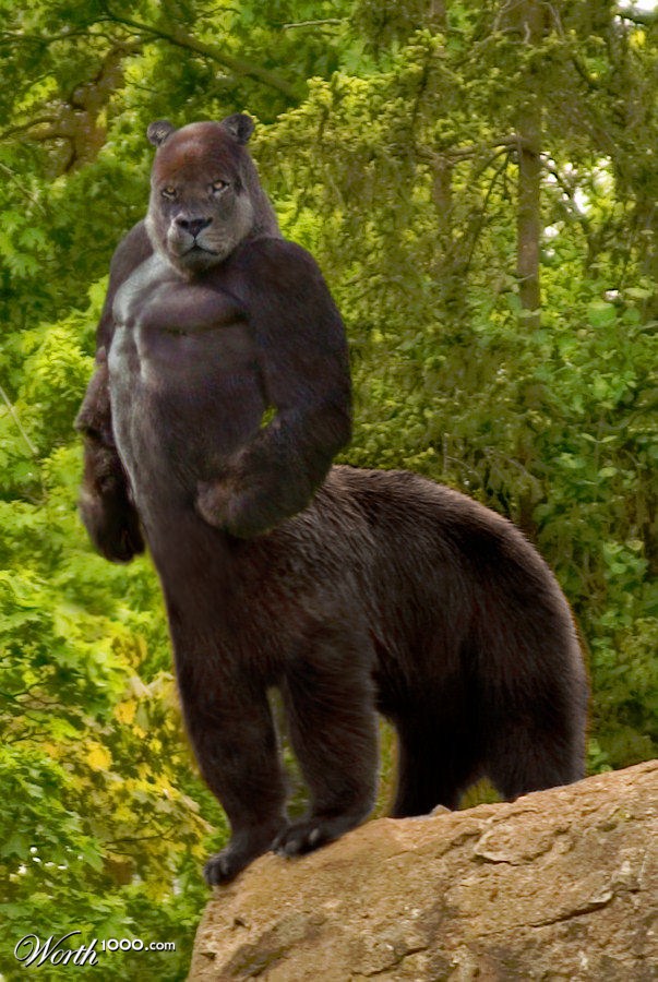 Brute