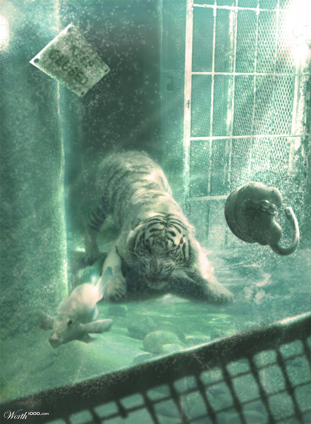 tiger