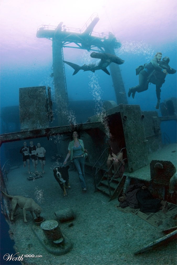 Under the Sea