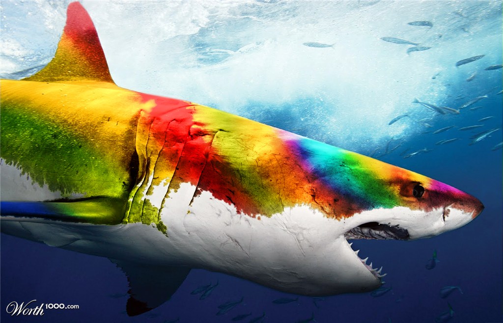 Colorshark