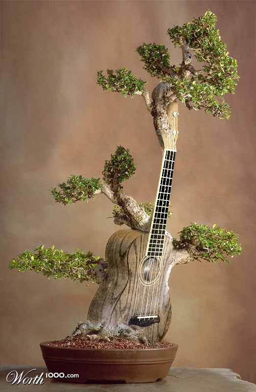 Bonsailele