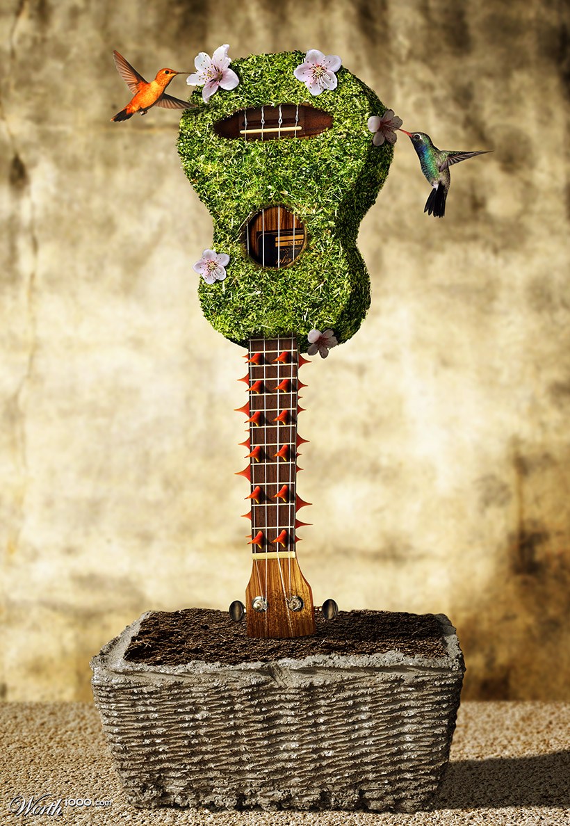 Ukulele Plant