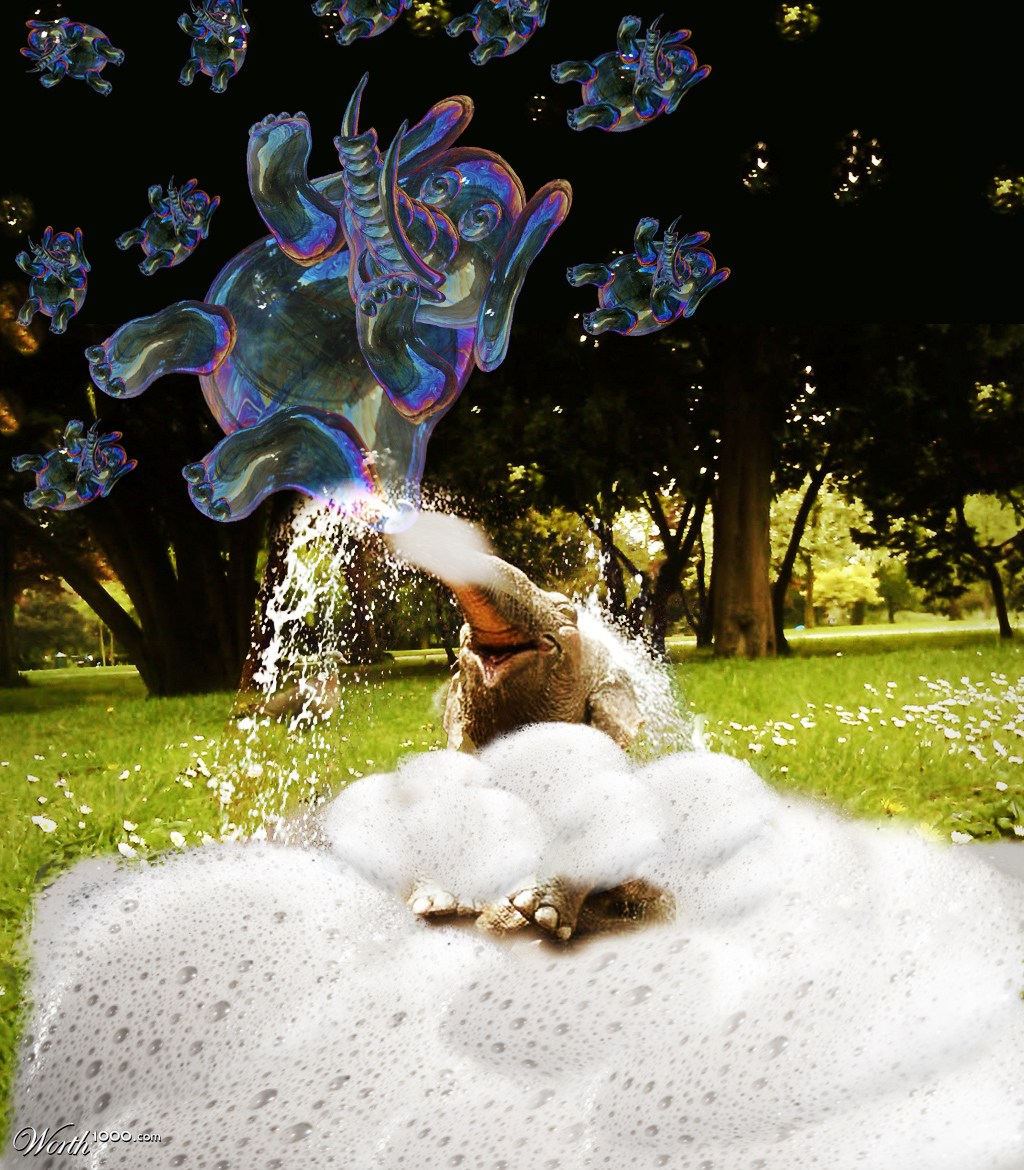 bubble dumbo