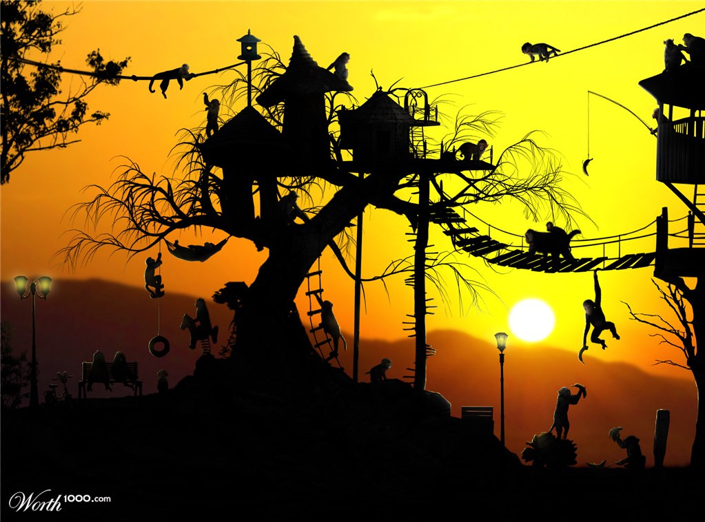 Monkey's Playground