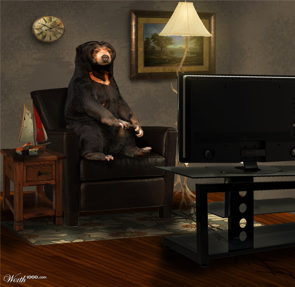 Lazy Sunday Morning watching the game... what game? No clue... you'll have to ask him.