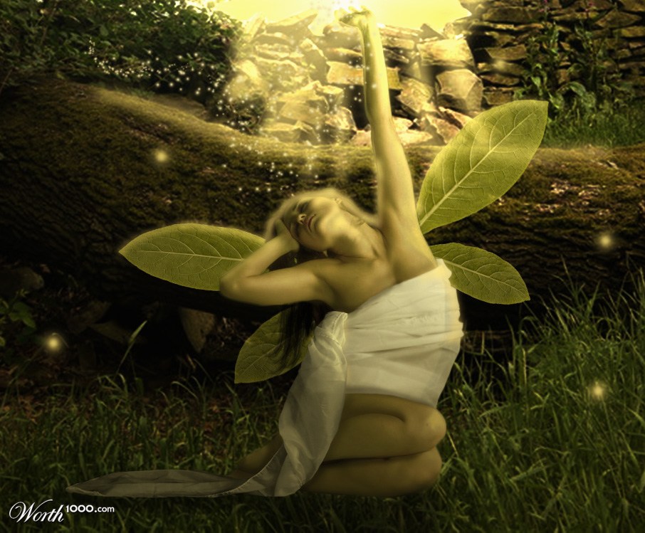 Awakening