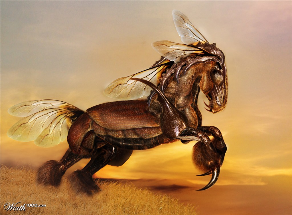 Thoroughbred BeetleHorse