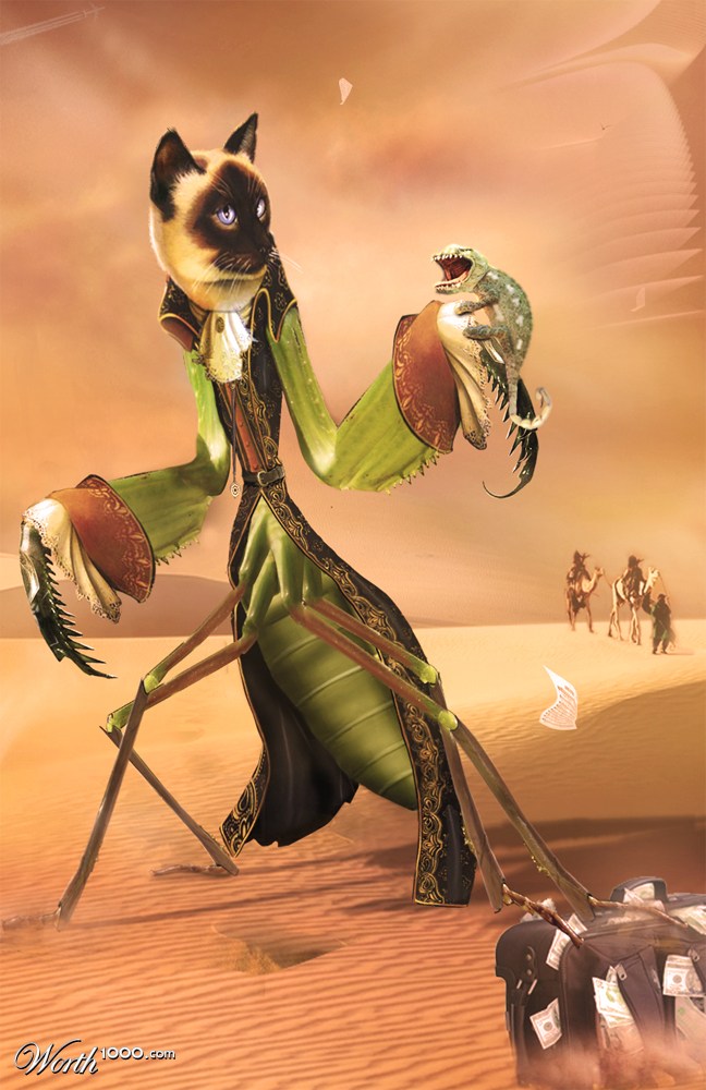 CatMan Tis