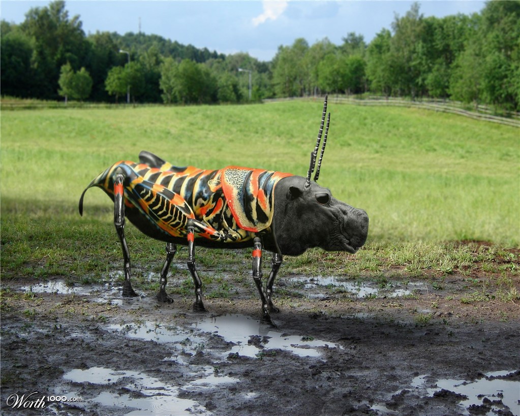 Hippohopper